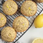 Lemon Chia Oat Muffins