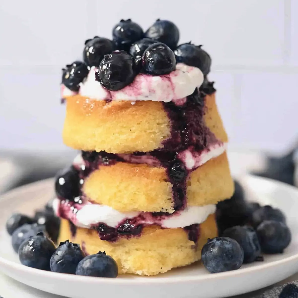 Blueberry Shortcake Recipe